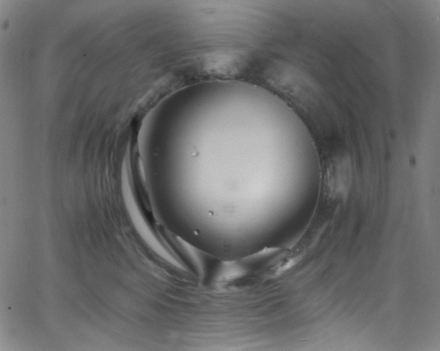 X0000062630424200512211234