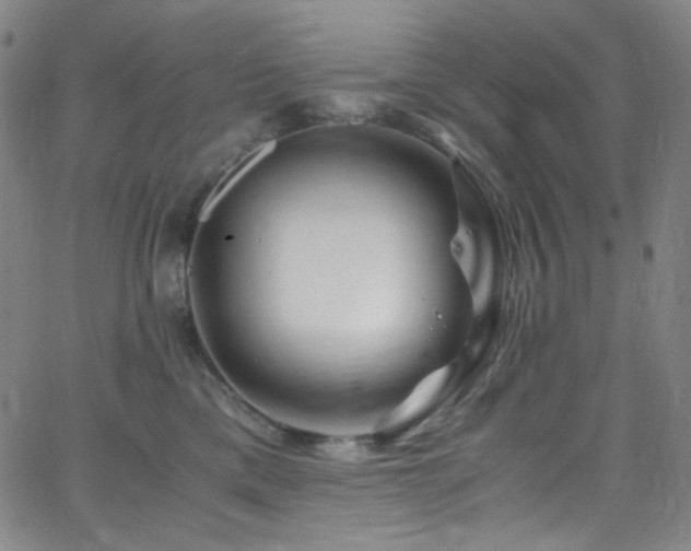 X0000062630425200512211234