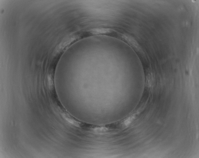 X0000062630426200512211234