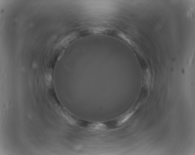 X0000062630427200512211234