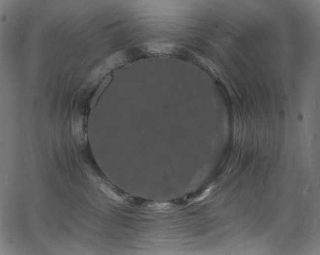 X0000062630428200512211234