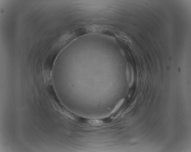 X0000062630429200512211234