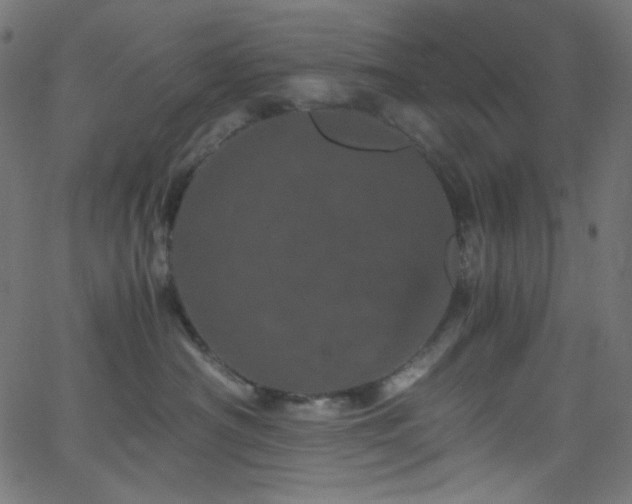 X0000062630430200512211234