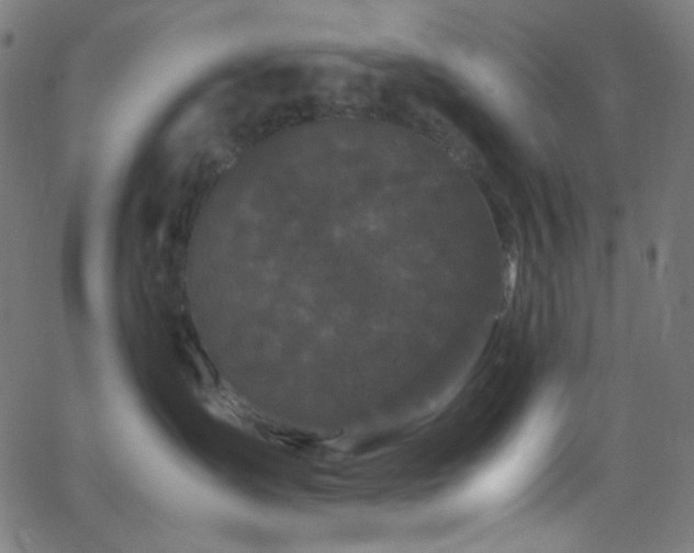 X0000062630431200512211234