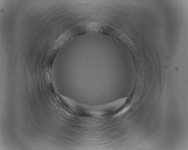 X0000062630432200512211234