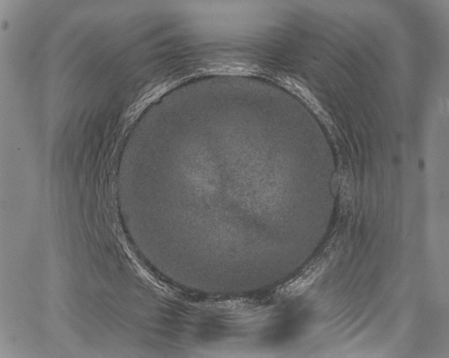 X0000062630433200512211233