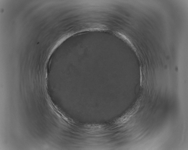 X0000062630435200512211233