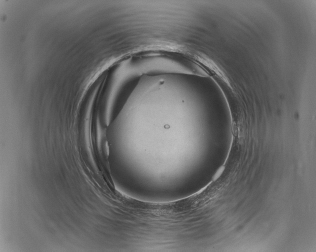 X0000062630436200512211233