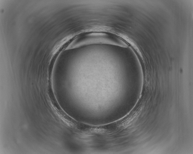 X0000062630437200512211233