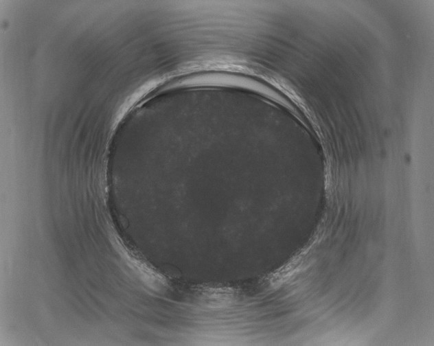 X0000062630438200512211233