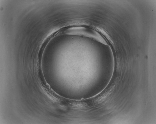 X0000062630439200512211233