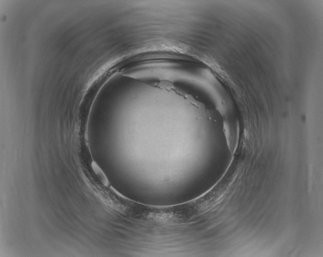 X0000062630440200512211233