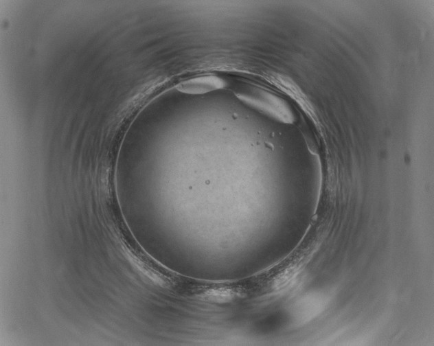 X0000062630441200512211233