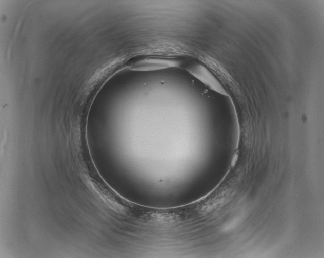 X0000062630442200512211233