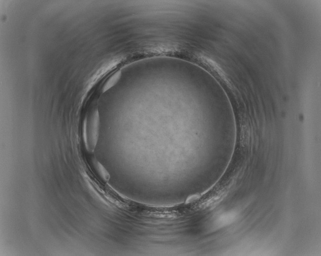 X0000062630443200512211233