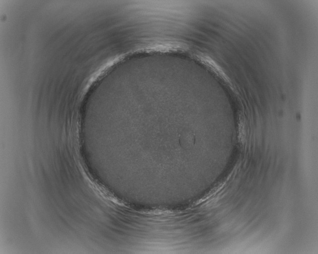 X0000062630444200512211233