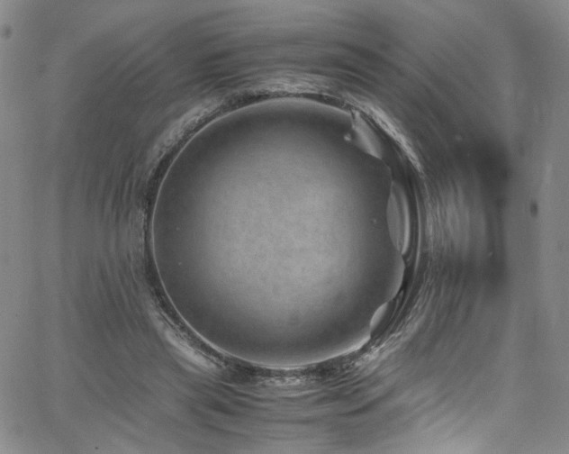 X0000062630445200512211233