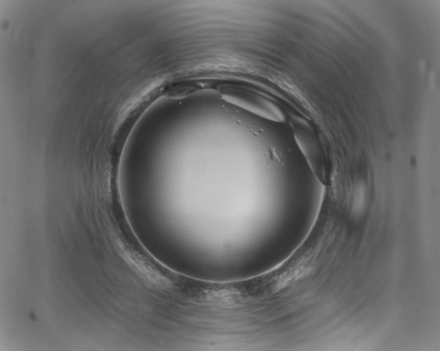 X0000062630446200512211233