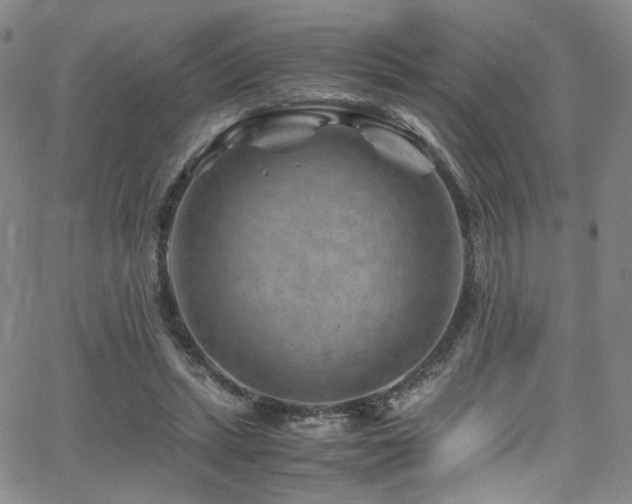 X0000062630447200512211233