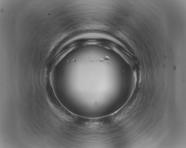 X0000062630448200512211233