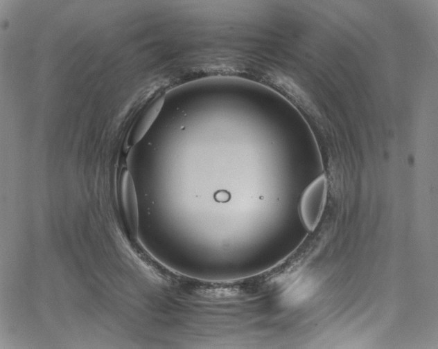 X0000062630449200512211233