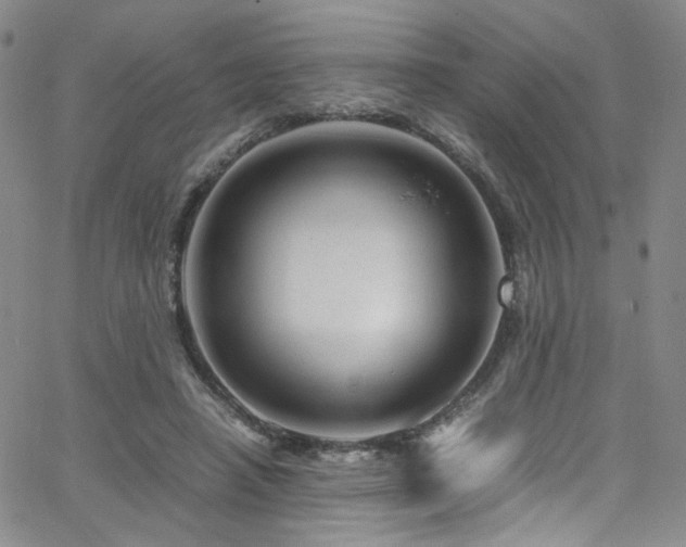 X0000062630450200512211233