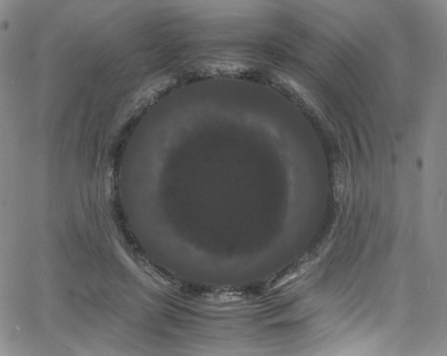 X0000062630451200512211233