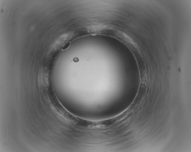 X0000062630452200512211233