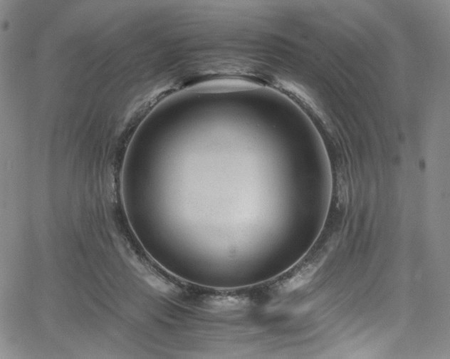 X0000062630453200512211233