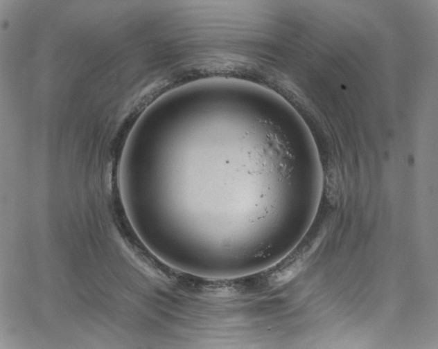 X0000062630454200512211233