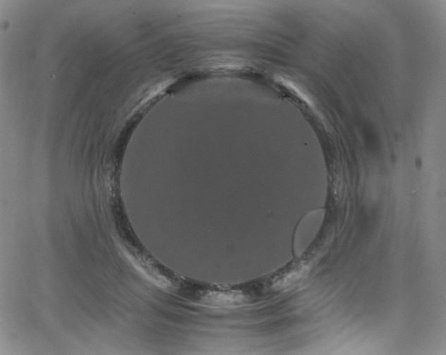 X0000062630455200512211233