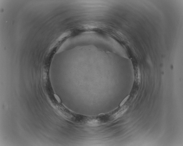 X0000062630456200512211233