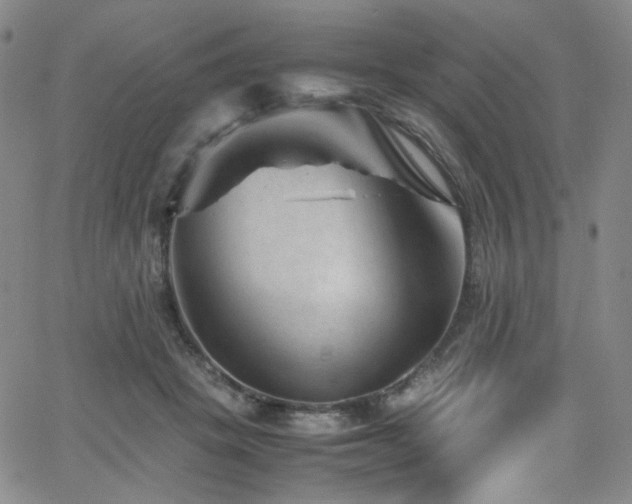 X0000062630457200512211233