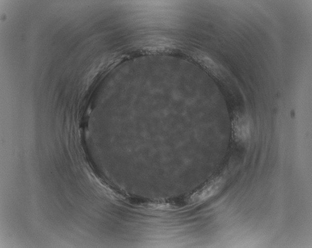 X0000062630458200512211233