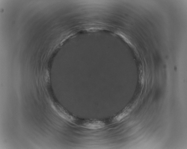 X0000062630459200512211233