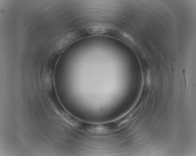 X0000062630460200512211233