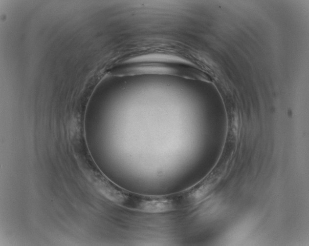 X0000062630461200512211233