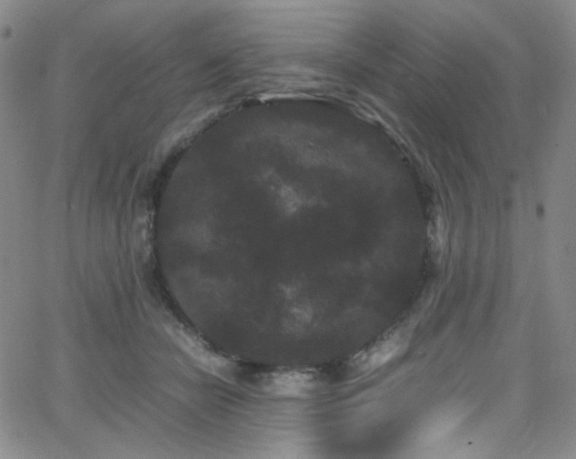 X0000062630462200512211233