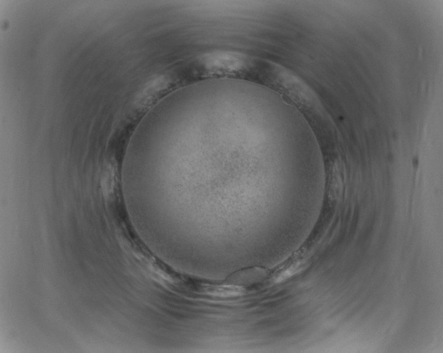 X0000062630463200512211233