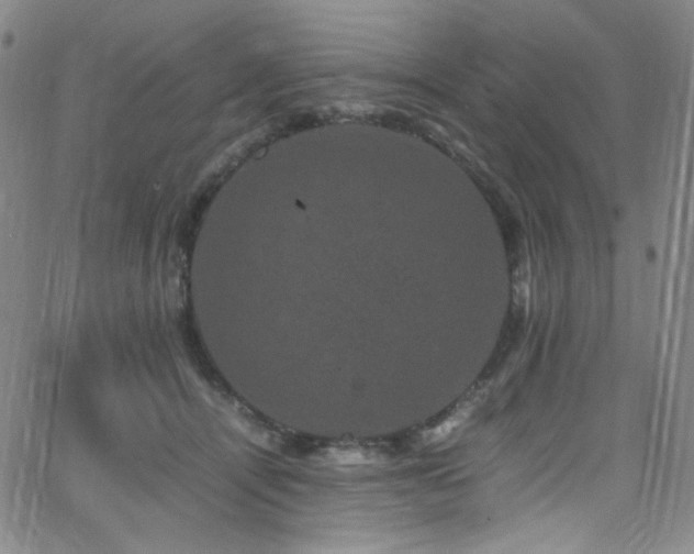 X0000062630464200512211233