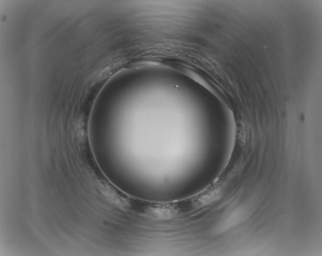 X0000062630466200512211233