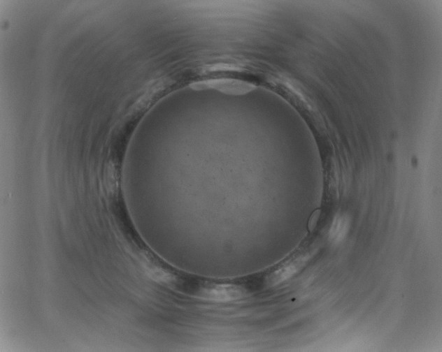 X0000062630467200512211234