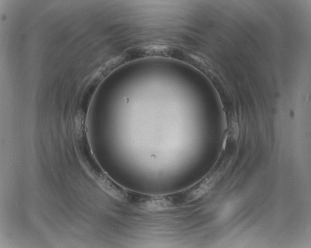 X0000062630468200512211234