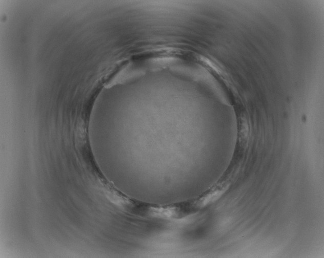 X0000062630469200512211234