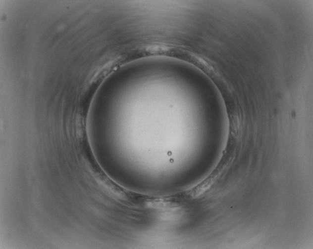 X0000062630470200512211234