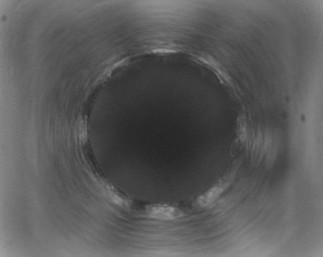 X0000062630471200512211234