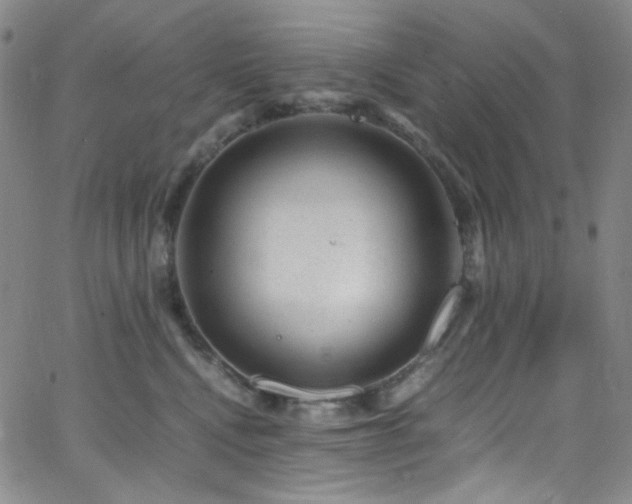 X0000062630472200512211234