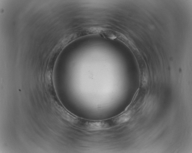 X0000062630473200512211234