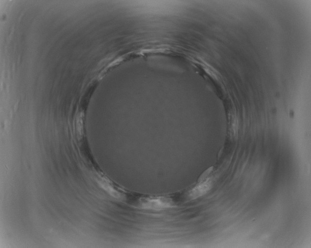 X0000062630475200512211234