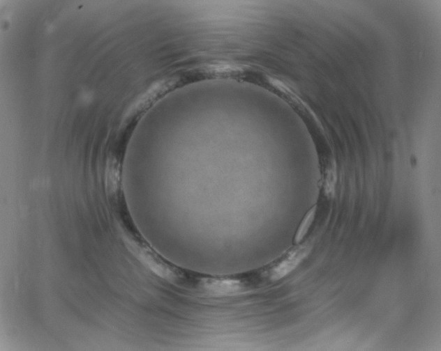 X0000062630476200512211234